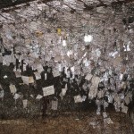 Chiharu Shiota Letters of Thanks