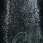 Bill Viola