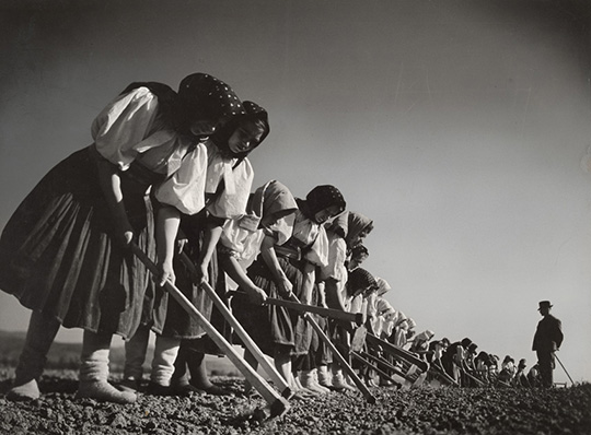 Margaret Bourke-White -PAC | Plataforma de Arte Contemporáneo