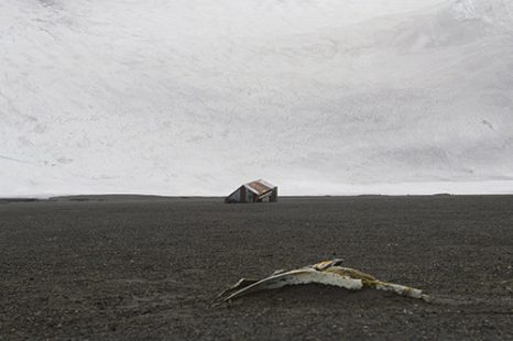 Han Sungpil - Deception Island, South Shetland Islands, Antarctic Ocean III