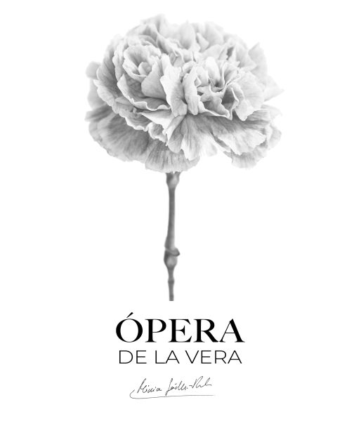 Ópera y Arte Contemporáneo en Ras de Terra